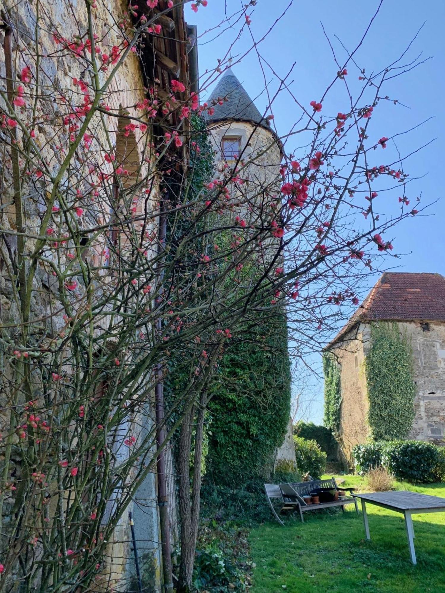 Chateau Mareuil Brigueuil-le-Chantre Exterior foto